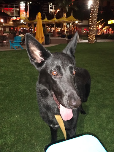 Shopping Mall «Westgate Entertainment District», reviews and photos, 6751 N Sunset Blvd, Glendale, AZ 85305, USA