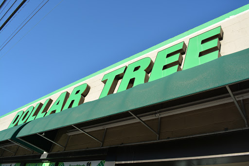 Dollar Store «Dollar Tree», reviews and photos, 4160 Lincoln Blvd, Marina Del Rey, CA 90292, USA