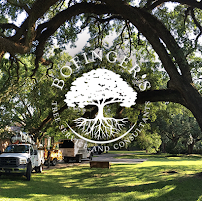 MetaLOGIC Design - Photo 2 - Car repair in Lafayette, LA, Lafayette