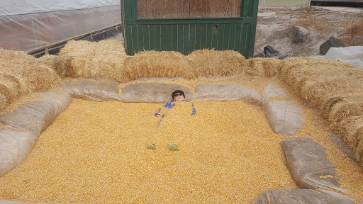 Produce Market «Kuwahara Farms», reviews and photos, 736 12300 S, Draper, UT 84020, USA