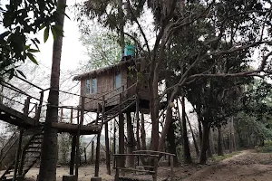 The Tree House image