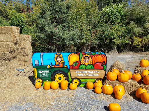 Supermarket «Spring Valley Farm Corner Market», reviews and photos, 22580 Northwestern Turnpike, Romney, WV 26757, USA