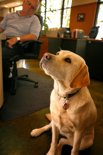 Auto Repair Shop «Hoffmann Automotive», reviews and photos, 2613 2nd St, Davis, CA 95618, USA