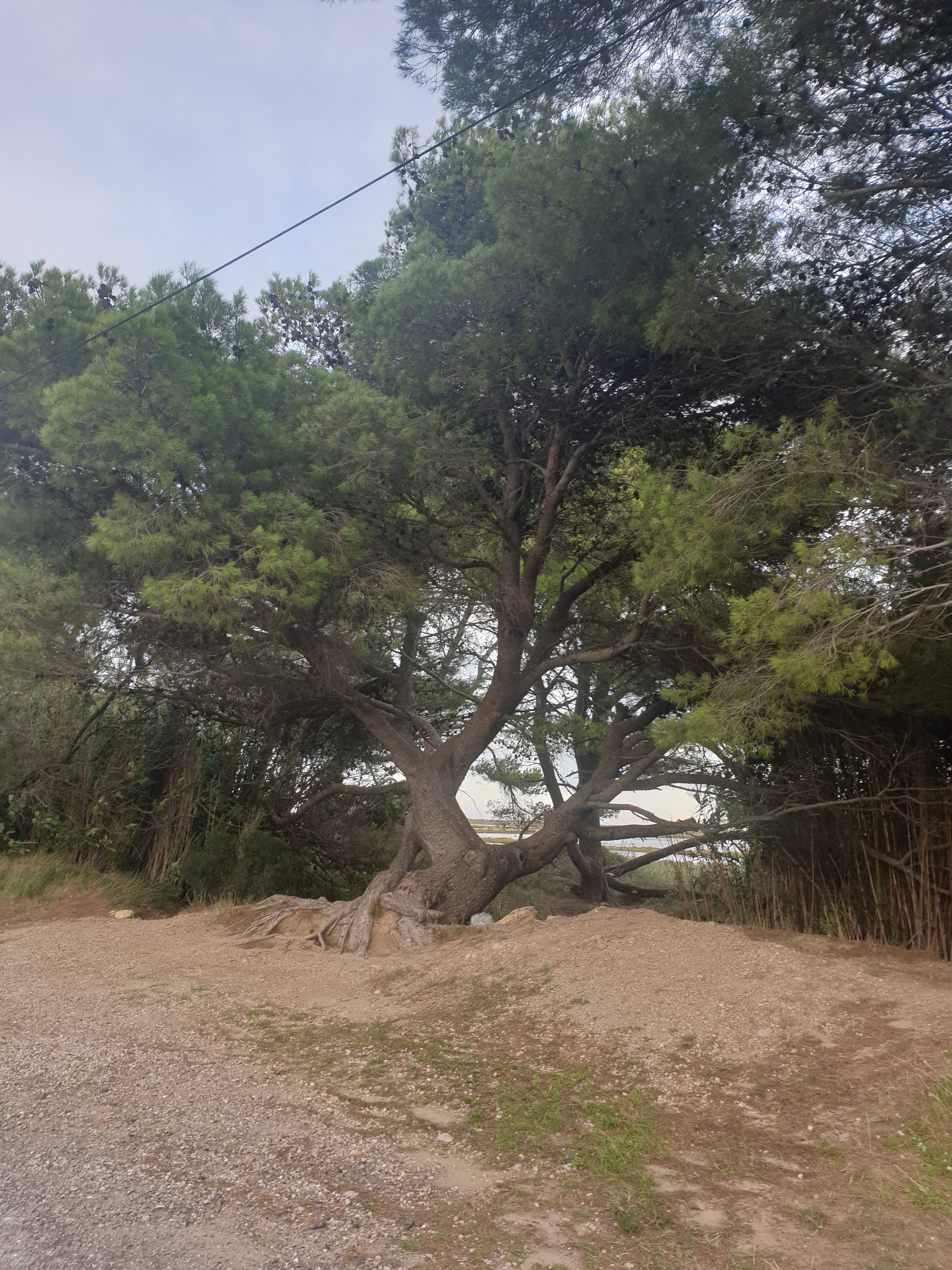 Photo n° 6 de l'avis de Fabienne.a fait le 30/09/2021 à 18:15