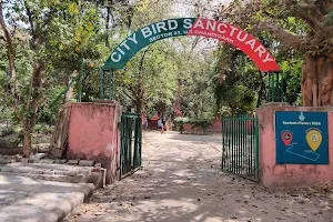 City Bird Sanctuary image