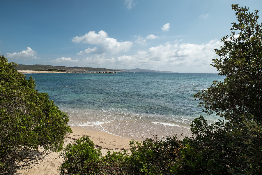 Figari beach photo #6