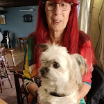 Photo n° 1 de l'avis de SYLVIE.C fait le 18/05/2023 à 17:01 pour Clinique Vétérinaire Acktaria à Sélestat