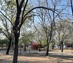 Parque Valle Morelos photo