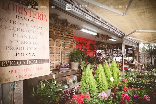 Imagen de Floristeria TomaJardin - Garden y Arte Floral (3 de 4)