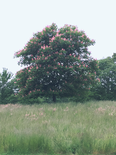 Public Golf Course «River Bend Country Club», reviews and photos, 250 E Center St, West Bridgewater, MA 02379, USA