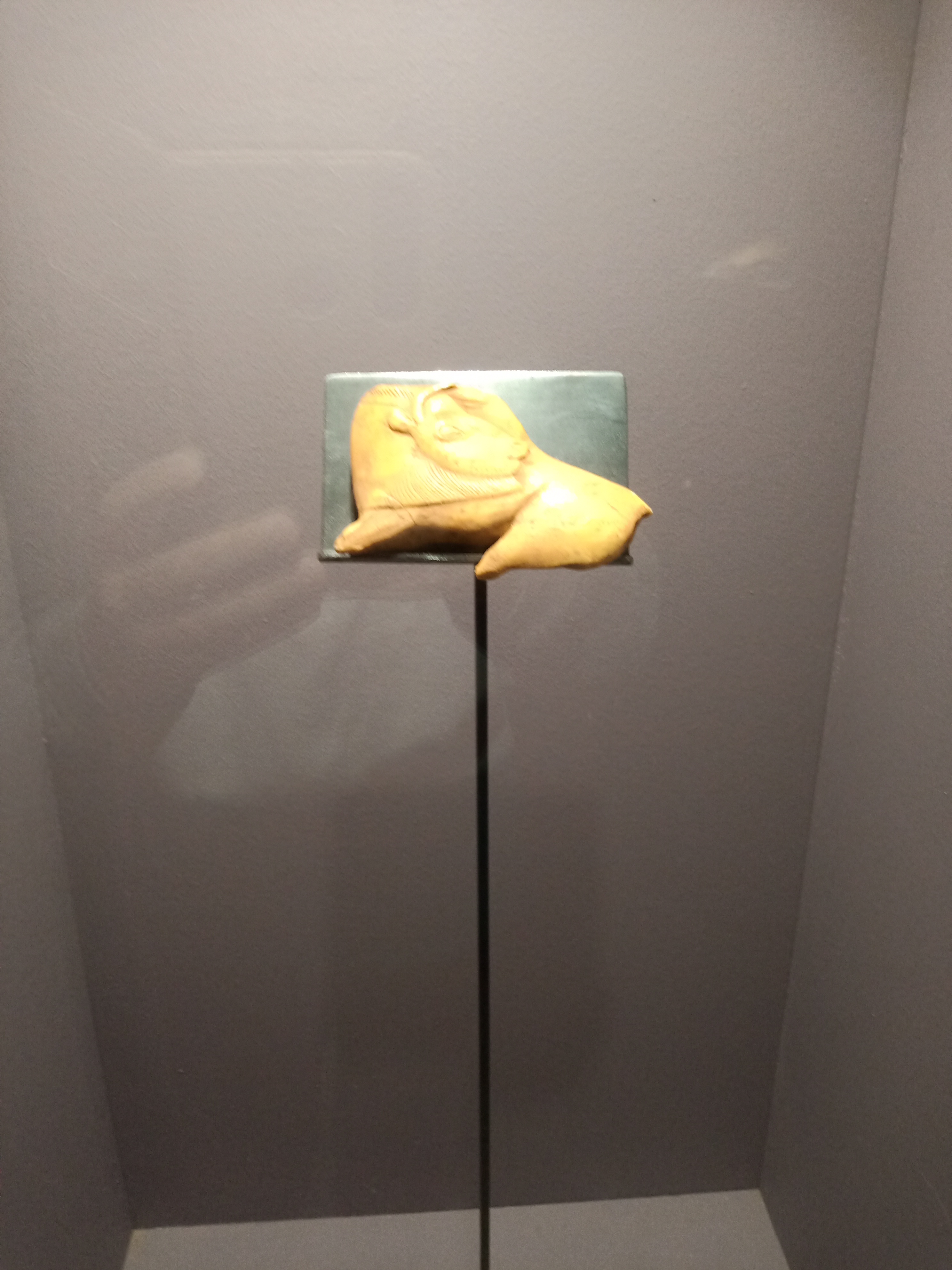 Photo n° 22 de l'avis de Marj.a fait le 18/07/2021 à 21:04