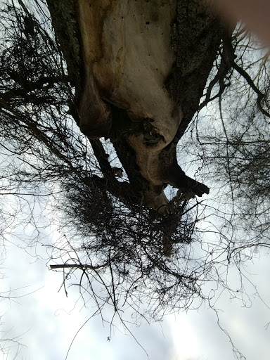 Nature Preserve «Kelley Nature Preserve», reviews and photos, 297 OH-126, Loveland, OH 45140, USA