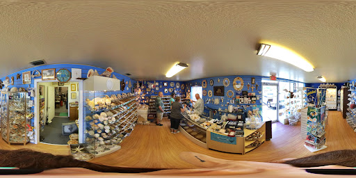 Gift Shop «The Shell Store», reviews and photos, 8211 Ulmerton Rd, Largo, FL 33771, USA