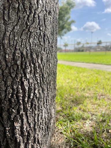 Park «Carl F Slade Park», reviews and photos, 2501 W 74th St, Hialeah, FL 33016, USA