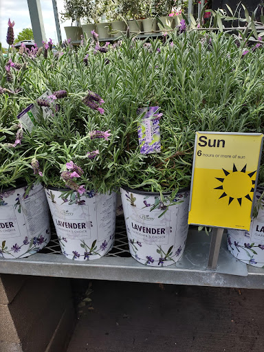 Home Improvement Store «The Home Depot», reviews and photos, 415 E Hwy 377, Granbury, TX 76048, USA