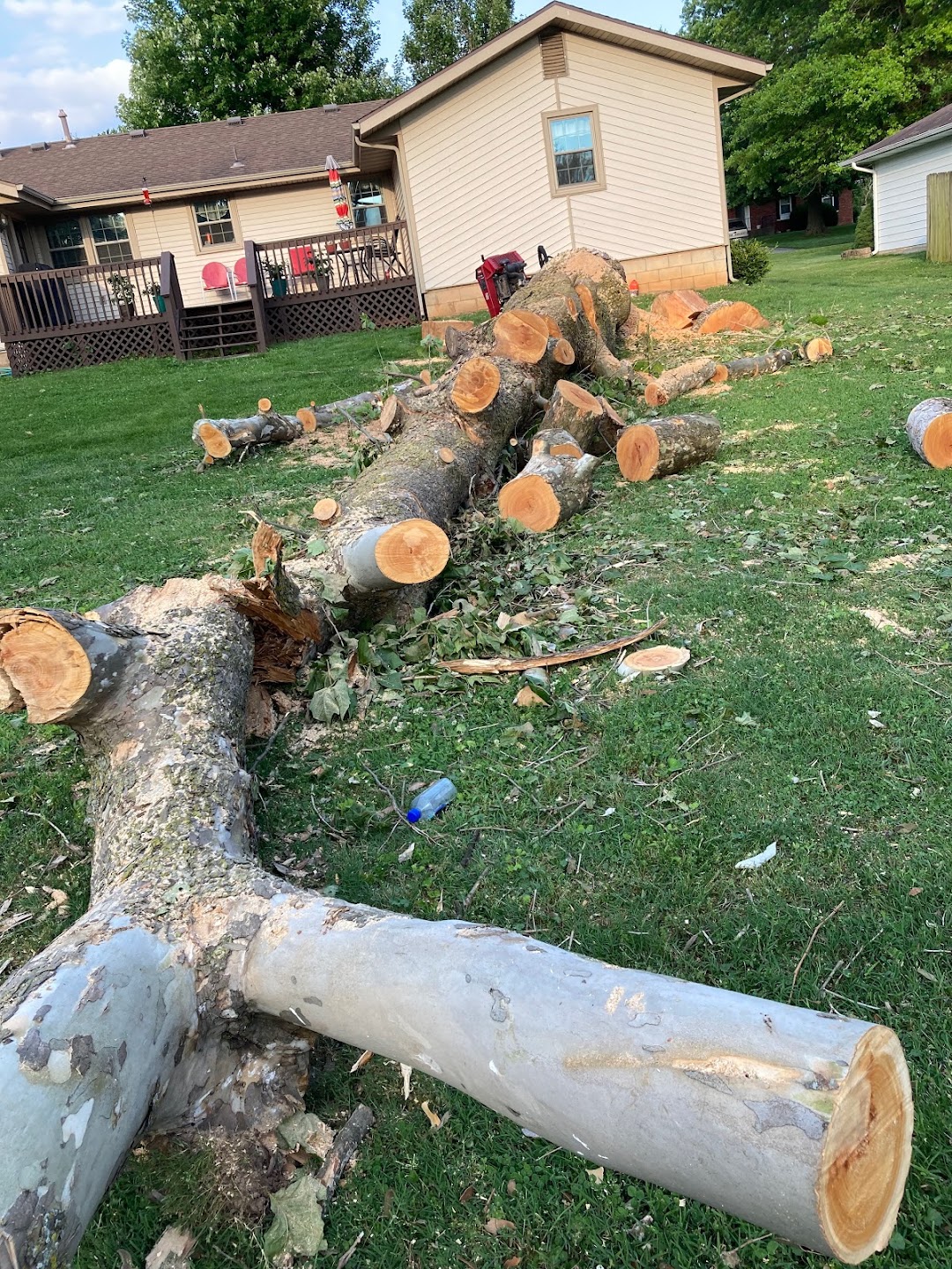 J & J Tree Experts