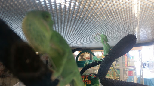 Pet Supply Store «Petco Animal Supplies», reviews and photos, 852 N Western Ave, San Pedro, CA 90732, USA