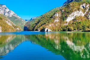 Drina image