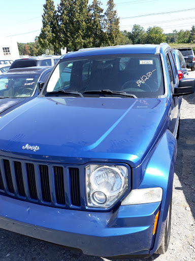 Charity «Helping Hands of America», reviews and photos