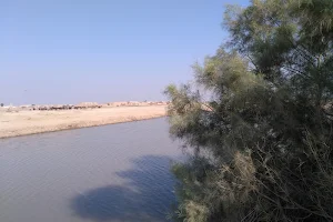 Cholistan Desert image