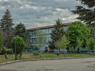 Eskişehir Anadolu Lisesi Küçük Prens Kitapları Müzesi