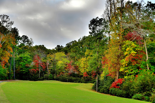Public Golf Course «Fairways of Canton- Stratus Kitchen & Bar», reviews and photos, 400 Laurel Canyon Pkwy, Canton, GA 30114, USA