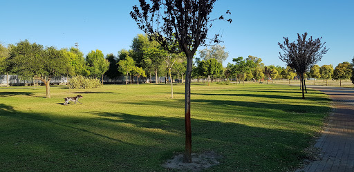 Vega de Triana Park