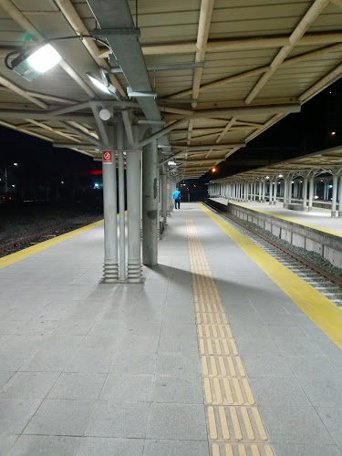 Opiniones de Estación San Bernardo en San Bernardo - Servicio de transporte