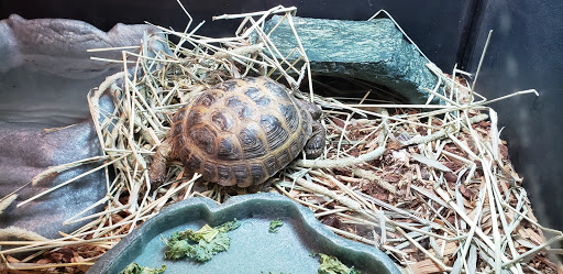 Pet Supply Store «Pet Supplies Plus», reviews and photos, 1810 Declaration Dr, Independence, KY 41051, USA