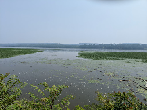 Nature Preserve «Esopus Meadows Preserve», reviews and photos, 257 River Rd, Ulster Park, NY 12487, USA