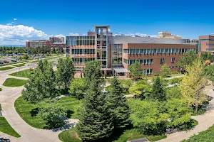 University of Colorado School of Dental Medicine image