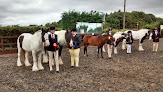 North Lizard Riding School