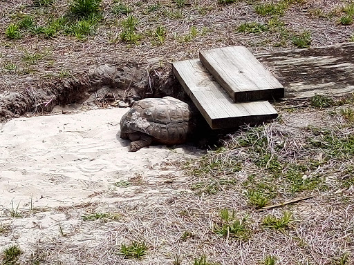 County Government Office «Brevard County Enchanted Forest Sanctuary», reviews and photos, 444 Columbia Blvd, Titusville, FL 32780, USA