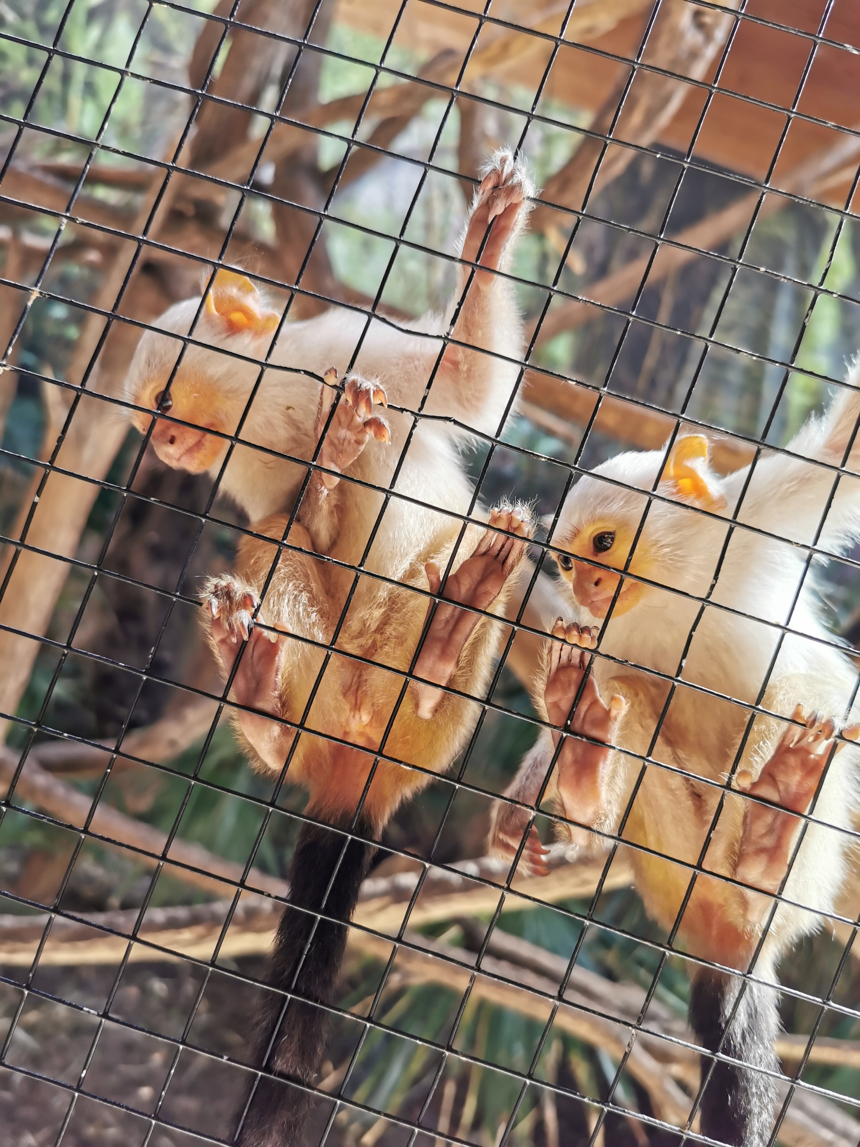 Photo n° 2 de l'avis de Sylvain.i fait le 03/09/2020 à 11:35