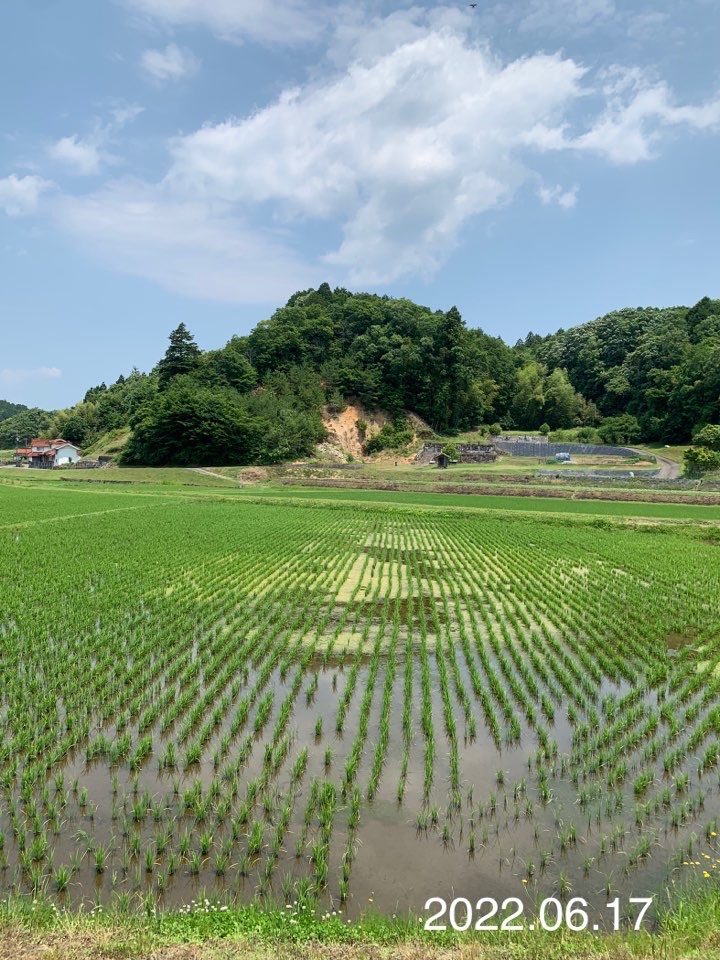 田村の田