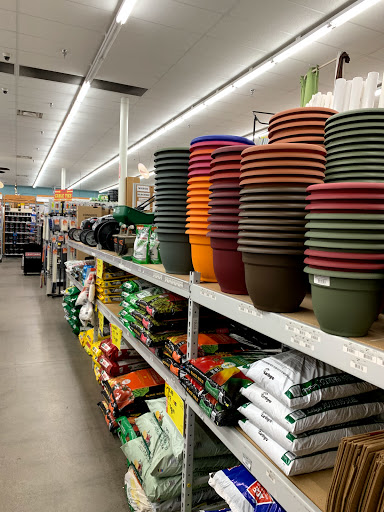 Hardware Store «Ace Hardware», reviews and photos, 13850 W Camino Del Sol, Sun City West, AZ 85375, USA