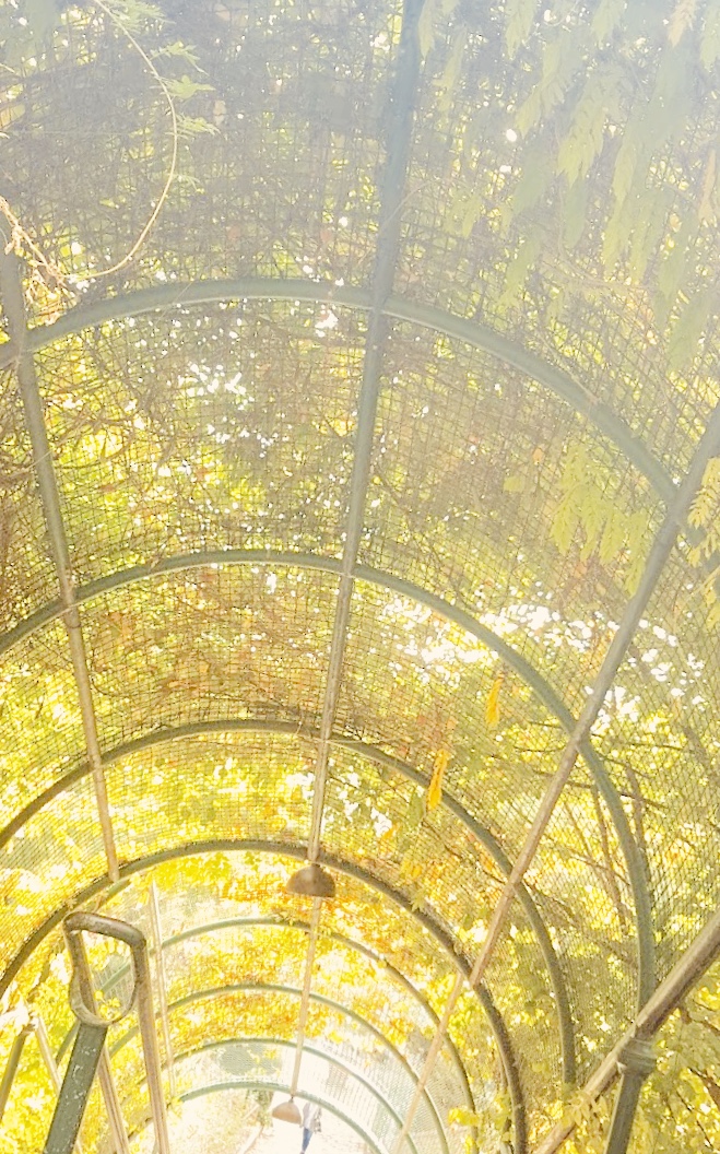 Photo n° 6 de l'avis de François.A fait le 23/06/2019 à 13:45