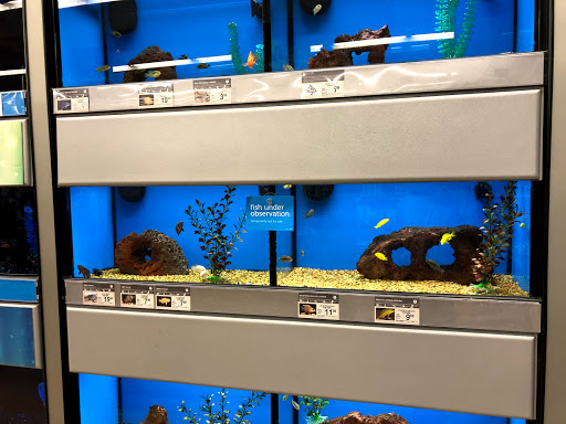 Pet Supply Store «Petco Animal Supplies», reviews and photos, 1121 5th St, Miami Beach, FL 33139, USA