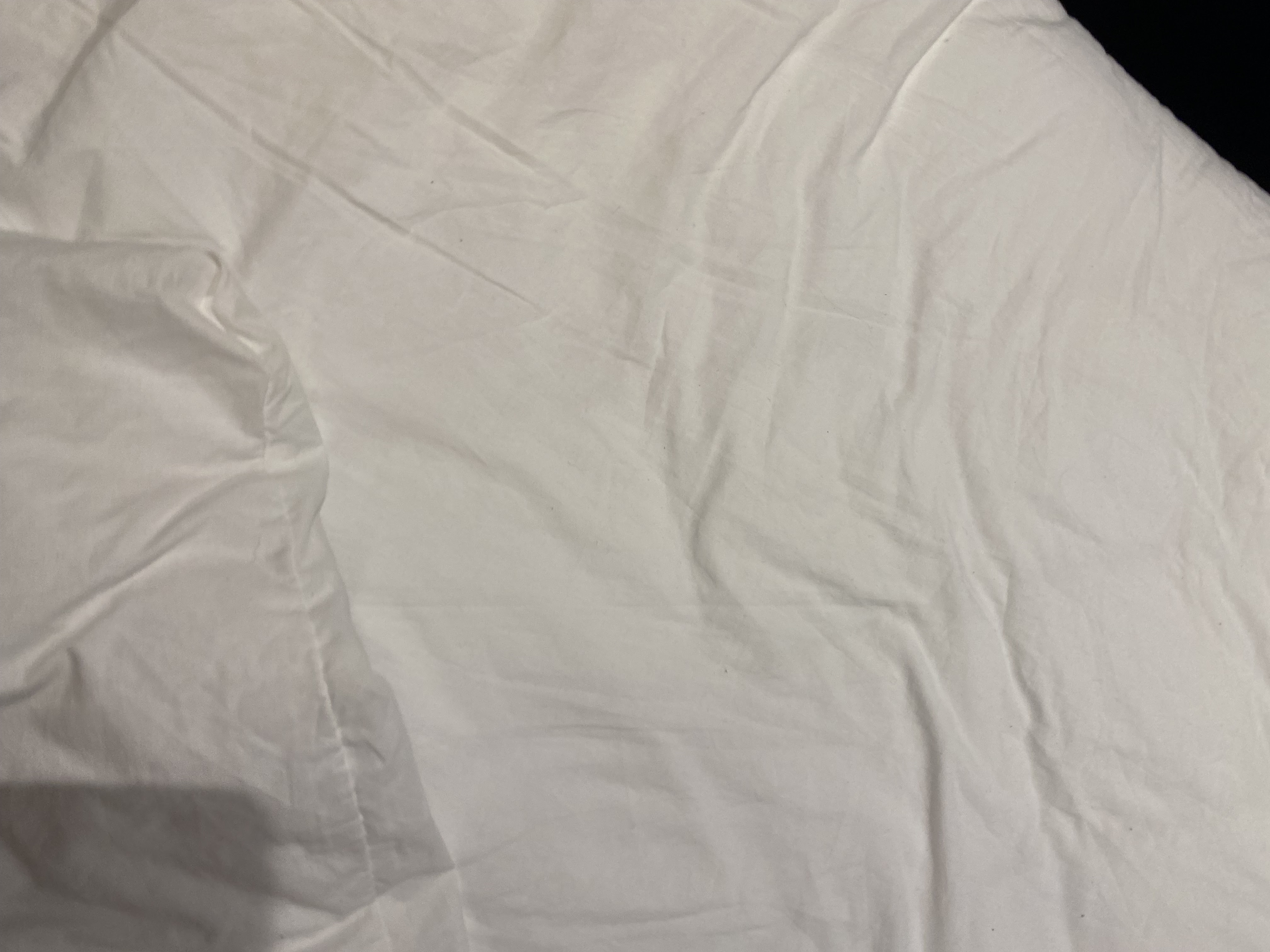 Photo n° 3 de l'avis de Pat.a fait le 16/03/2024 à 20:27