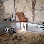 Photo n° 5 de l'avis de Astrid.e fait le 08/10/2022 à 05:28 pour Écomusée d'Alsace à Ungersheim