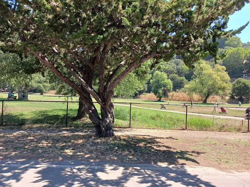 Golf Course «Redwood Canyon Golf Course», reviews and photos, 17007 Redwood Rd, Castro Valley, CA 94546, USA