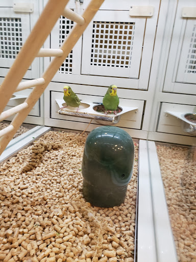 Pet Supply Store «PetSmart», reviews and photos, 9905 E Independence Blvd, Matthews, NC 28105, USA