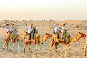 Desert Safari Dubai Tours - All UAE Tours image