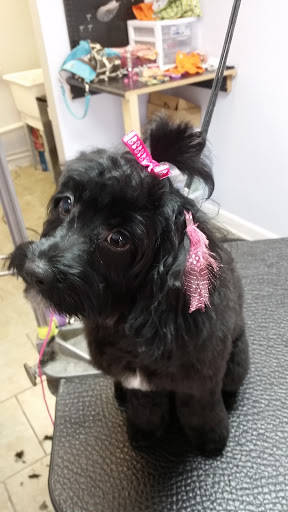 Pet Groomer «Barking Beauties pet Boutique», reviews and photos, 112 E 2nd St S, Newton, IA 50208, USA