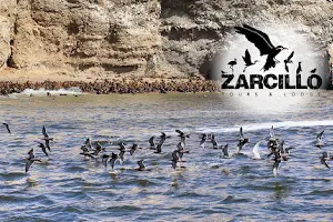 Zarcillo Connections | Tours en Paracas, Islas Ballestas y Lineas de Nazca image
