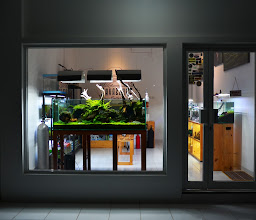 AquaRM Aquascape Gallery photo