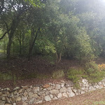 Photo n°27 de l'avis de Paolo.r fait le 17/01/2021 à 17:11 sur le  Agriturismo su Niu de S'Achili à San Nicolò Gerrei