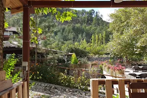 Şener Restaurant image