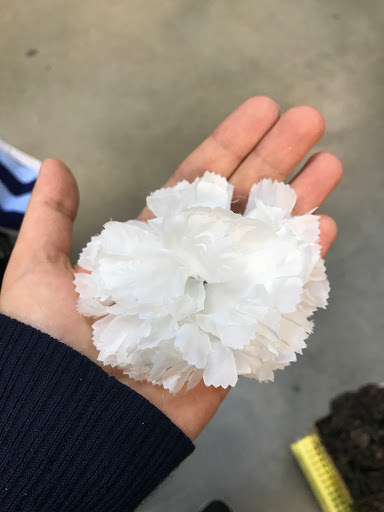 Craft Store «Dealers Discount Crafts & Florals», reviews and photos, 8199 E 10 Mile Rd, Center Line, MI 48015, USA