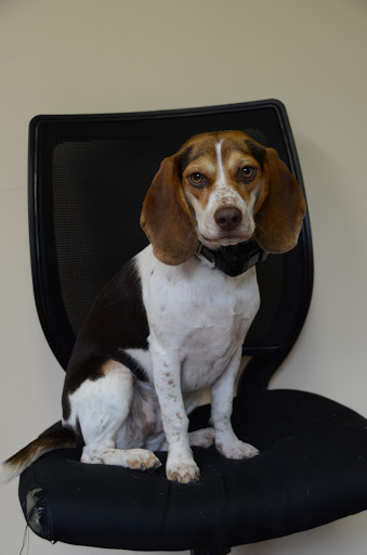 Insurance Agency «Wilkinson Insurance, Inc.», reviews and photos